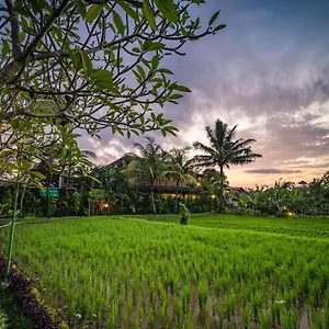 Bliss Luxury Villa